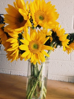 vodkacupcakes:  Sunflowers make me happy