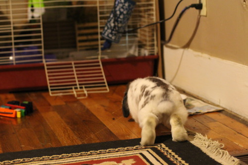 Look at that bunny bootie ;p -dont freak out about those cords lol they normally arnt there. - 