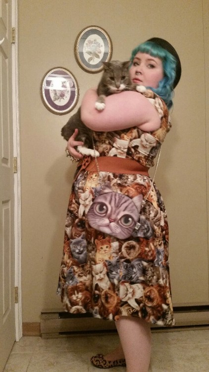 themanicpixiedreamgrrrl:Happy national hug your cat day. Please hug your cats for me.Where did you g