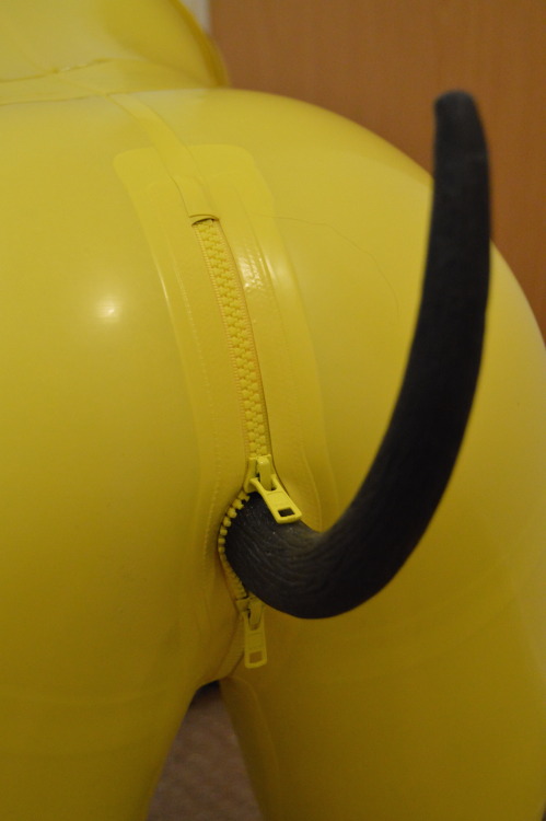 puppixel:pocket-pup requested some pictures of my butt/tail. So here’s a post just for you :)Took quite a few pictures during this session so more pics with tail to follow!