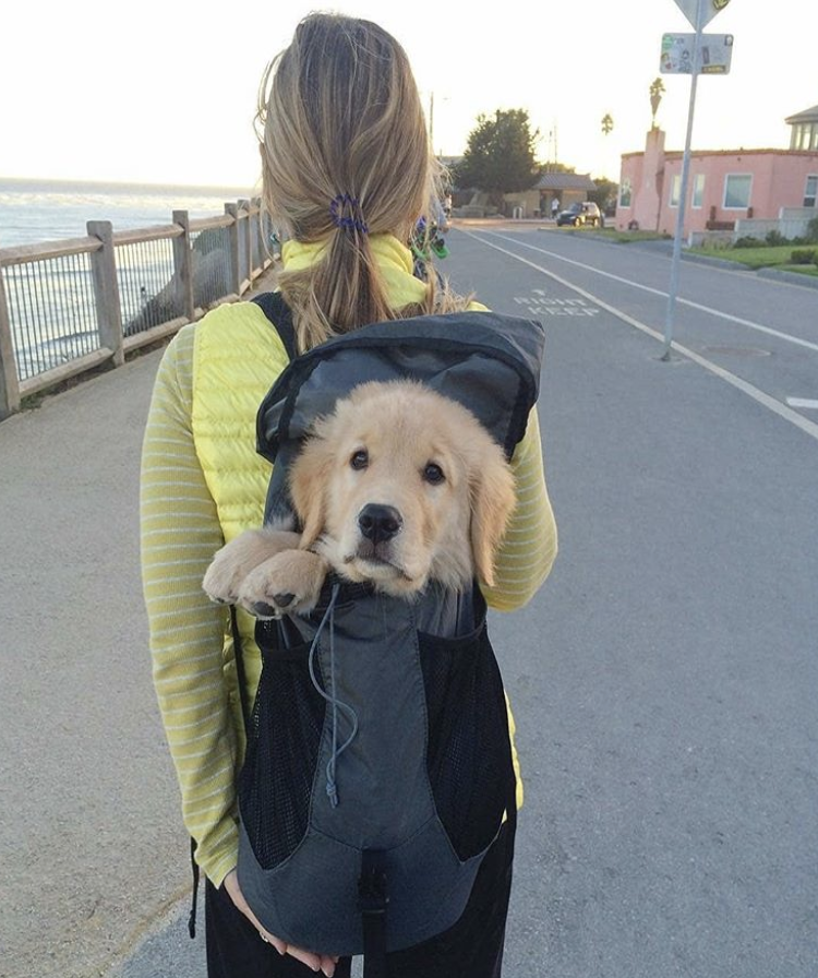 the-perfect-aesthetic:We are ready for a New York trip