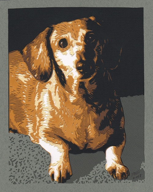 Daisy the dachshund. A portrait done as a present for a friend.9 layers and 8 x 10