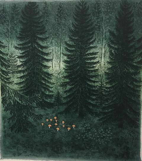 Huariqueje: A Gift From The Forest    -   Inari Krohn , 2019. Finnish,B.1945-