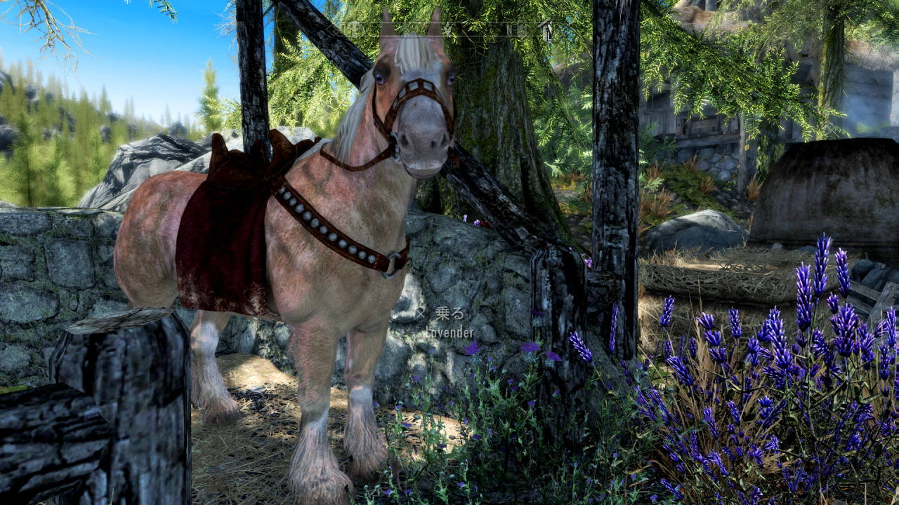 Karasu No Zaregoto Skyrim不動産案内番外編 Wildflower Cottage Karasu No Zaregoto Skyrim不動産案内番外編 Wildflower Cottage