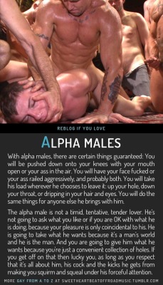 sweetheartbeatoffroadmusic:  ALPHA MALES.