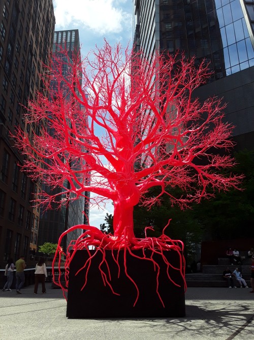 Old Tree, Pamela Rosenkranz