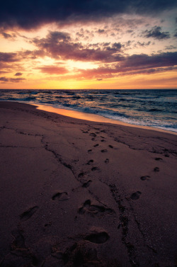 brutalgeneration:  footsteps (by Dennis_F)