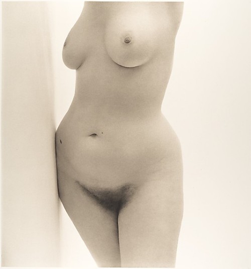 miscellaneous-art:  Irving Penn (1917–2009), Nude porn pictures