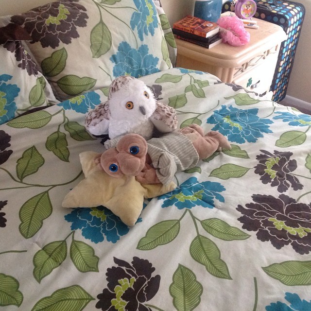 I made the bed. #cute #ET #owls #unfuckyourhabitat