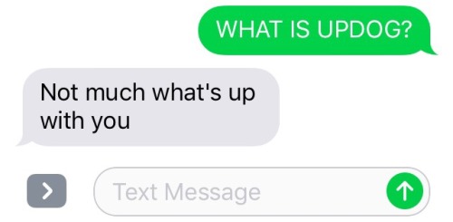 textsbetweendragonballz:  Piccolo ain’t takin your shit Bulma