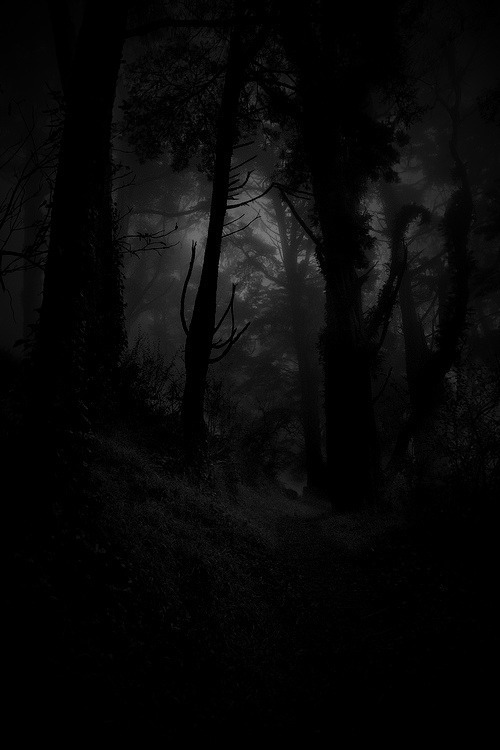 Into the Unknown
