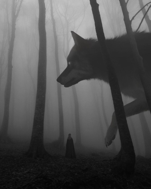 Beautifulbizarremagazine:  Misty And Mysterious. Wander Into The Dark Forest Of “The
