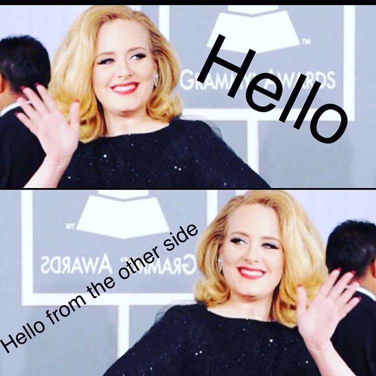 caitlynriane:  😂😂 #imbored #hello #adele #hellofromtheotherside #boredandsick