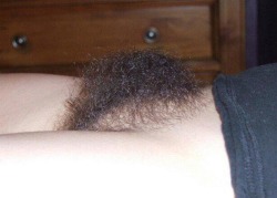 hairybush72:  my bush  So intense