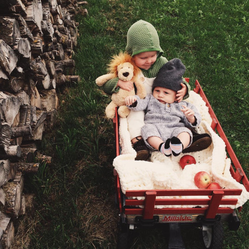 jameelynnjames ・・・ “wagon rides in the yard #sisterbrotherlove #liontoo #