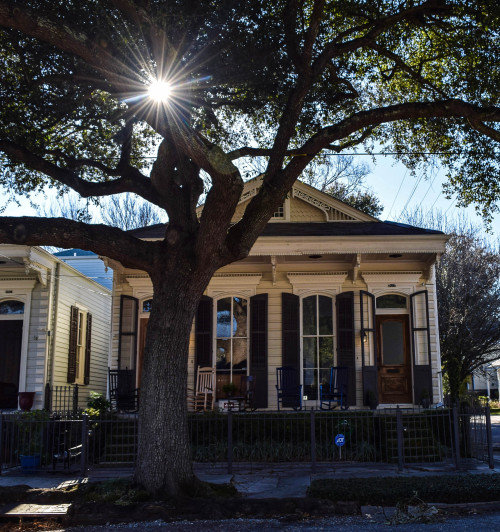 Sunlight &amp; shotgun houses. New Orleans, Louisiana. 2016.・For optimal photo quality, view the gal