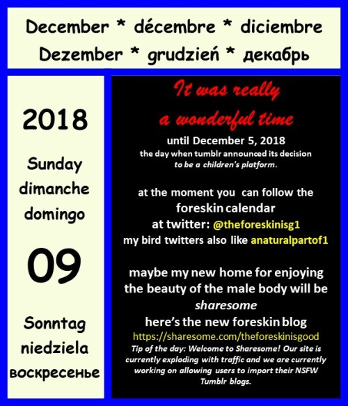 myforeskincalendar:I wish all my followers a nice December 8thanyway. This will probably be one of m