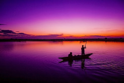 shinyjumpluff:  Violet dawn (by Amateur Pic)
