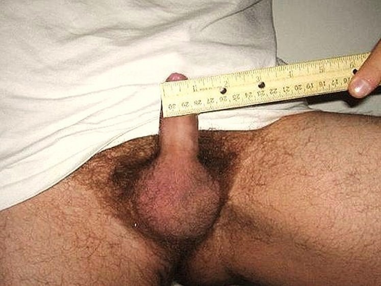 hairybair:  davidmicro:  Petite verge en érection (8/9 cm de long, un peu moins