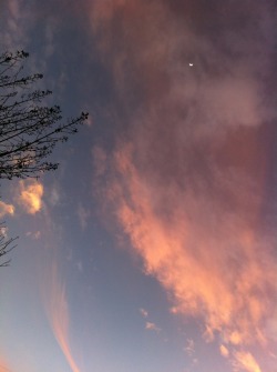 cloudbaby:  tonight’s farm sunset 
