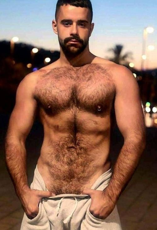 thebearunderground:  The Bear Underground