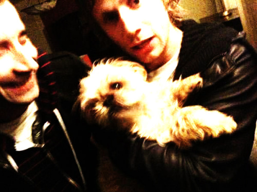 hullababoob: Dom with dogs (｡♥‿♥｡)