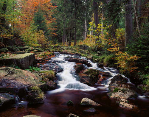 Autumn colour by Sebastian Dziuba