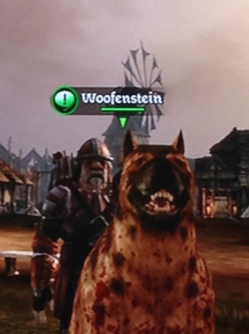foolishandfurious: Naming the dog is the best thing about Dragon Age: Origins