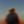 swankinftjuice:  Message to the youth