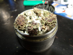 b-ak3d:  some of this bomb purp I got today.