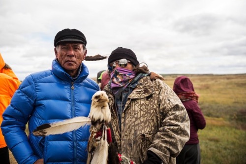 mixdgrlproblems:Portraits of the Faces of #NoDAPL