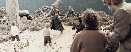 jimmytolans-blog:  lotr meme: ten scenes [8/10] → sword fighting with hobbits 