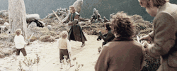 Jimmytolans-Blog:  Lotr Meme: Ten Scenes [8/10] → Sword Fighting With Hobbits 