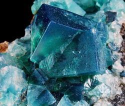 fuckyeahmineralogy:  Fluorite; Rogerley Mine, United Kingdom