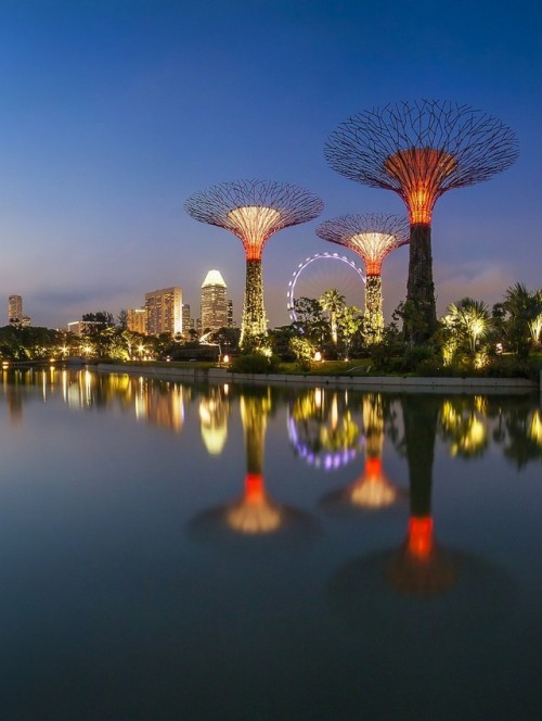 Gardens by the Bay - Supertrees SingaporeGardens by the Bay is a nature park spanning 101 hectares (