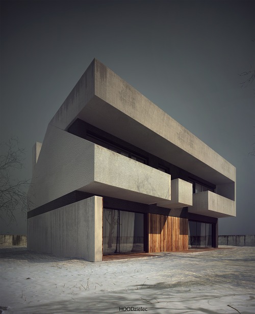 hoodzielec:  House no. 39 [b] Project and viz.: author 