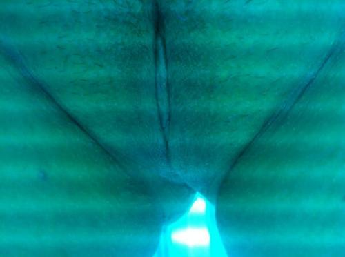 jennasohot: #amateur #tanning #shetastesgood #misshereatingme