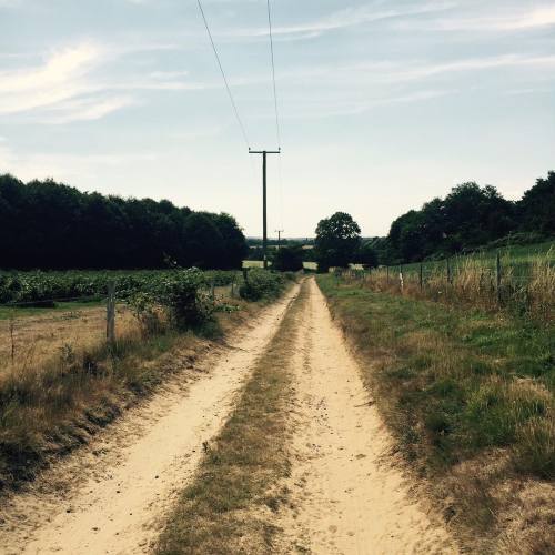 Sunday walks