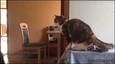 lawebloca:  Give me five  