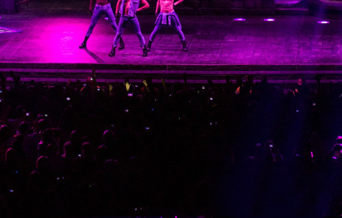 trevorsdiary:  Lady Gaga Fashion Of His Love 