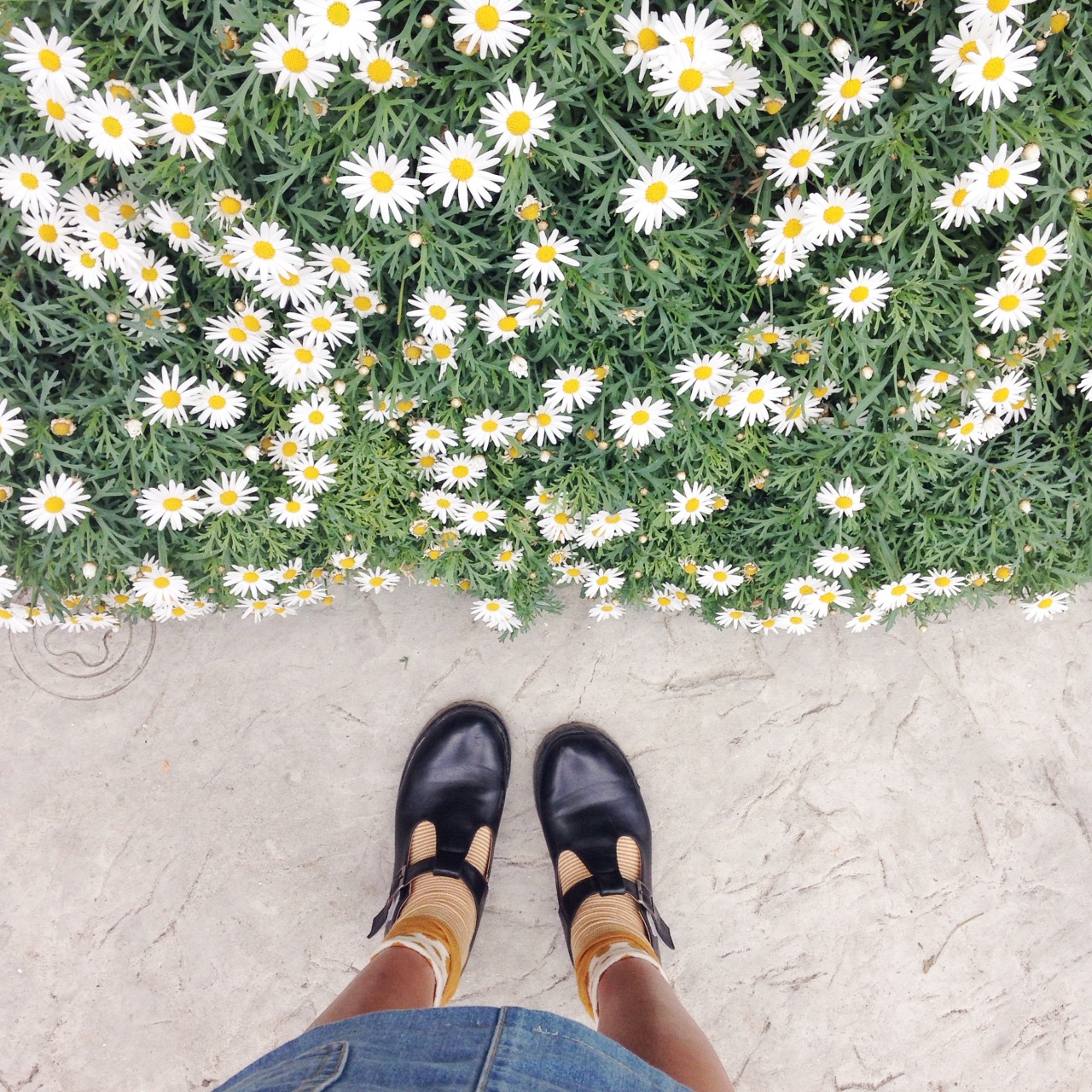 coqillage:  in my element 