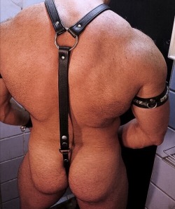 TX Jock Lover