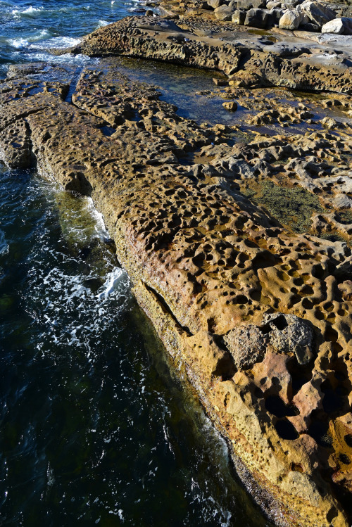 Above the rock pools