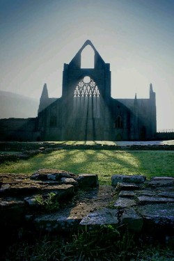 abandonedandurbex:  The ruins of Tintern Abbey, Tintern, Monmouthshire, Wales [500 x 750]