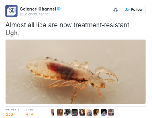 black–beetle:  iamthemaskhewears:  sure-alright-okay:  bellaxiao:  Well that’s very unfortunate for some people   Sucks to be white  Wait, only white people get lice? Cause I’m latina and I’ve had lice three times now.  More so you only get lice