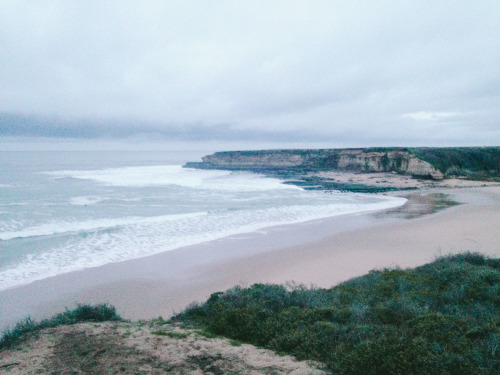 leaberphotos:   windswept snaps. california 