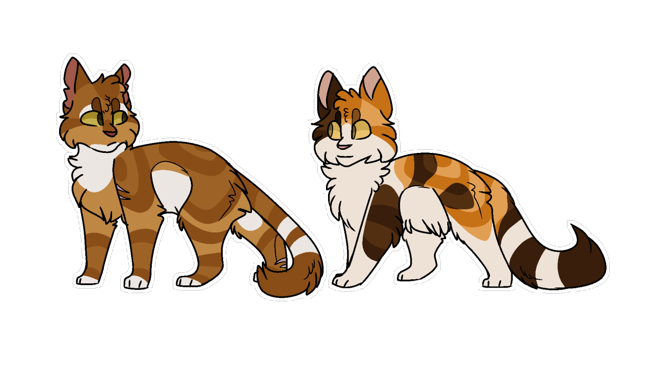 Warrior Cats Oc Blog Warrior Cats Oc Blog