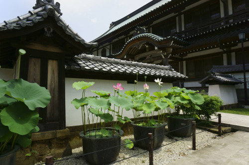 楽園