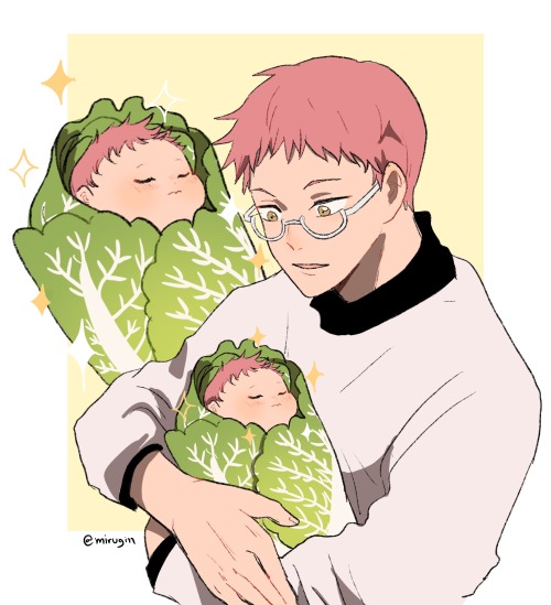 Papa’s little lettuce