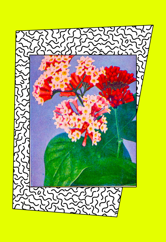 Artwork Copyright © Tyler Spangler Shop: ShopTylerSpangler.com